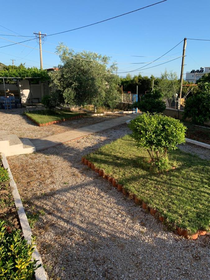 Guesthouse Rondo Himarë Dış mekan fotoğraf