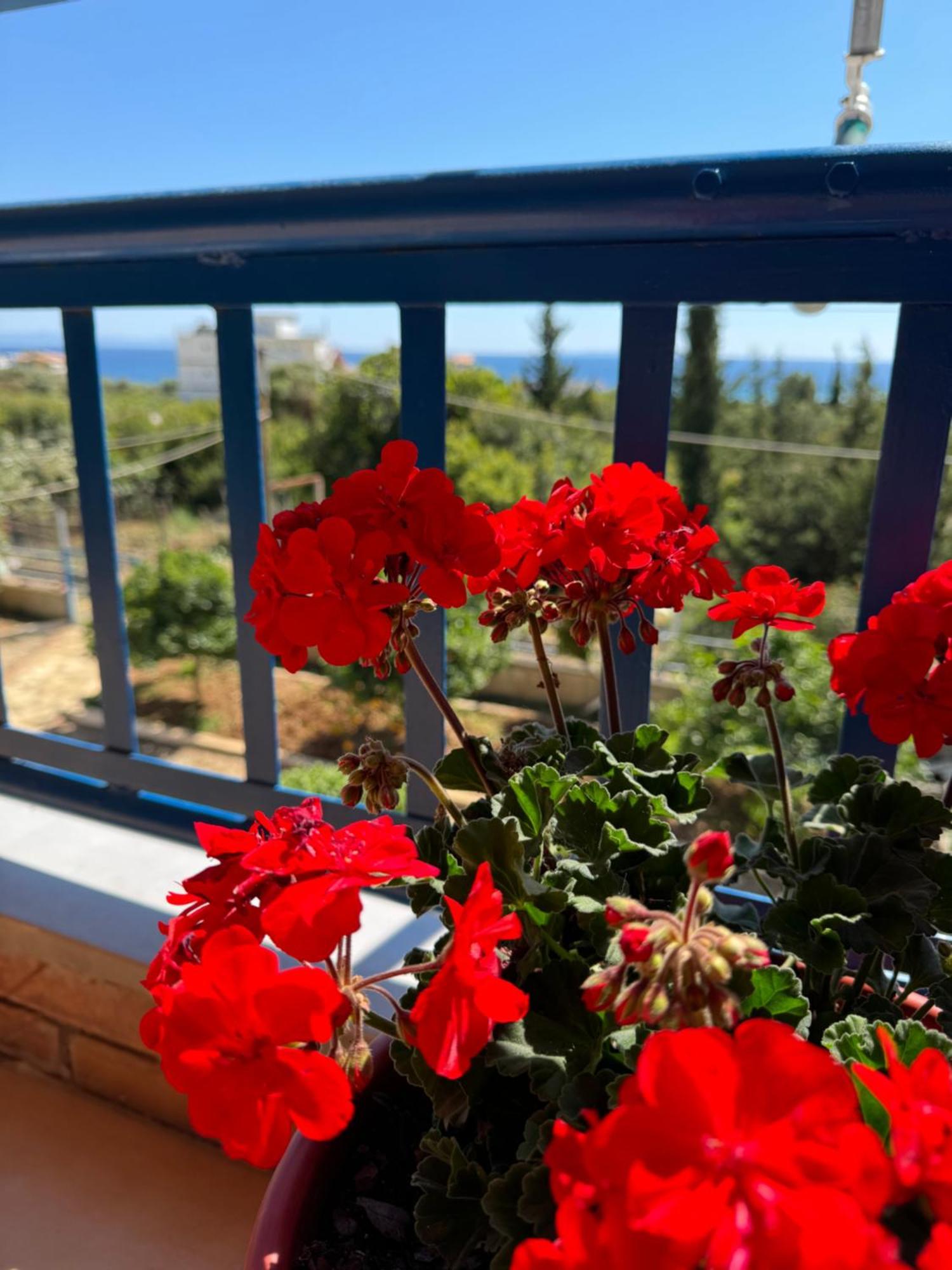 Guesthouse Rondo Himarë Dış mekan fotoğraf