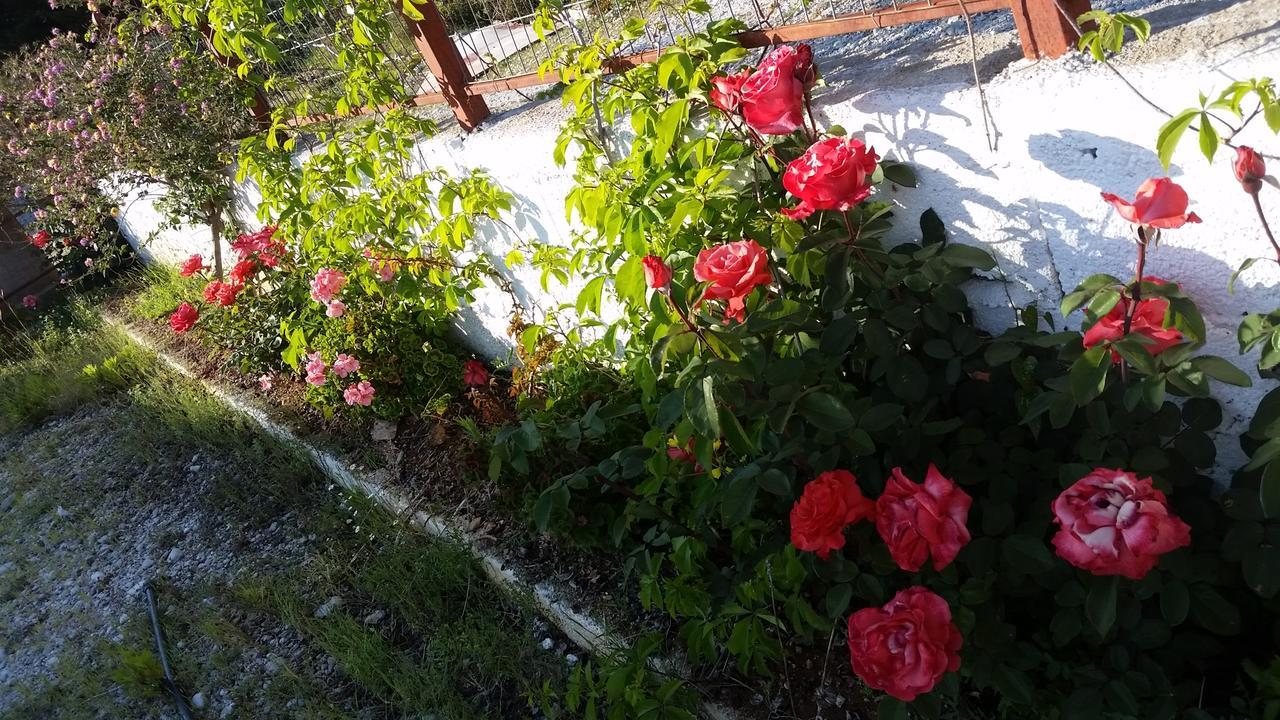 Guesthouse Rondo Himarë Dış mekan fotoğraf